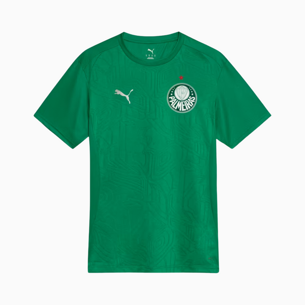 Camisa Palmeiras 2025 – Treino